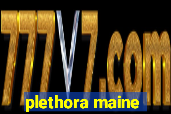 plethora maine